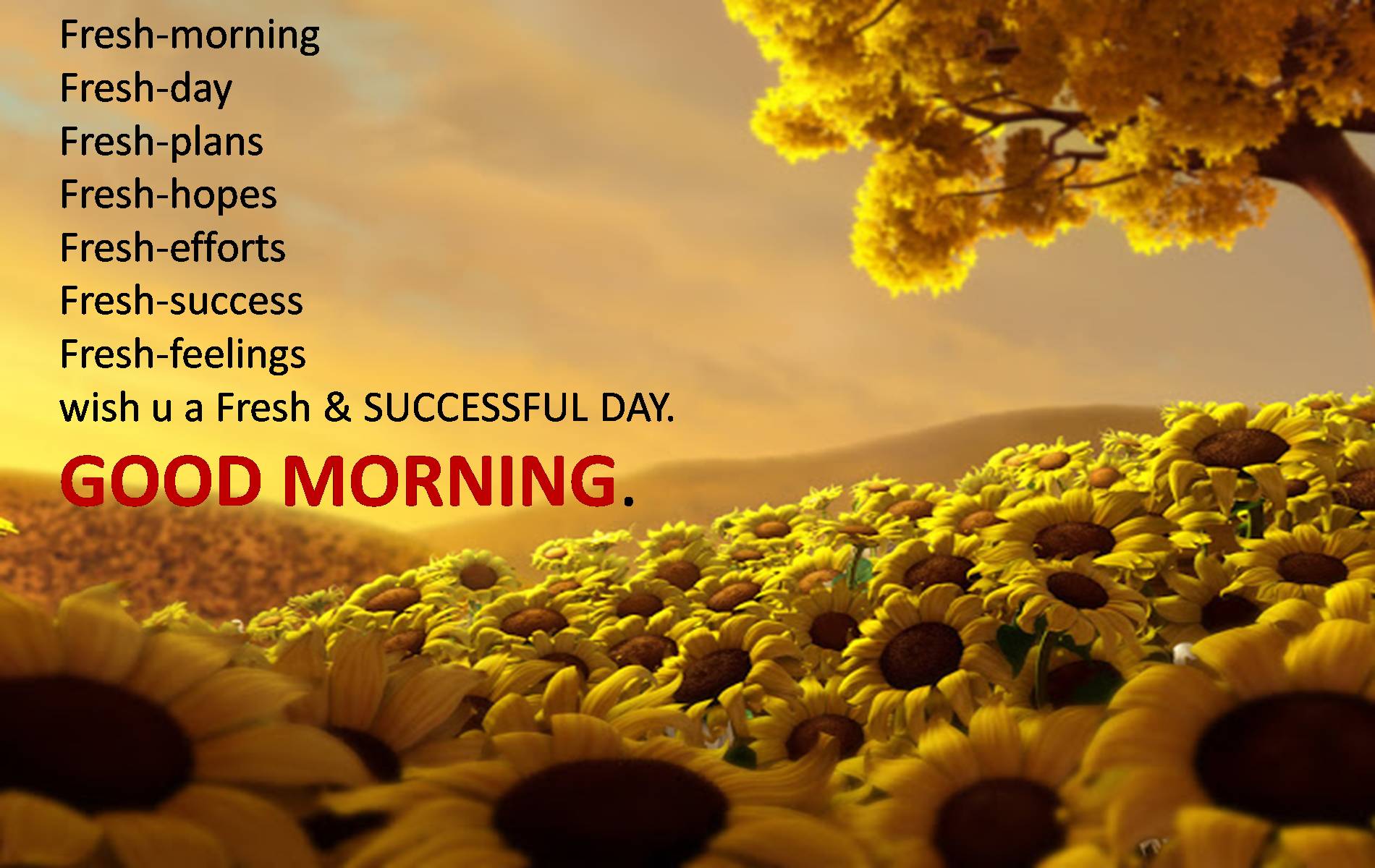 1900x1200 ICEV3KR Good Morning Beautiful Wallpaper 1900x1200 px