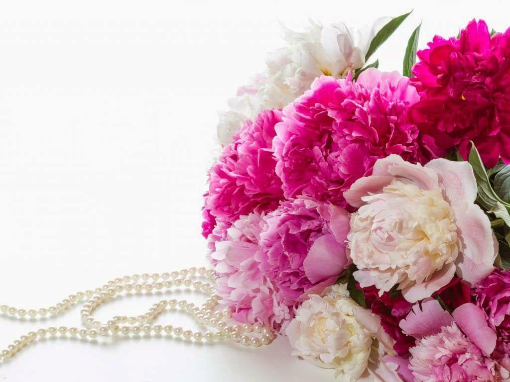 1024x768 Tải xuống miễn phí Hình nền buổi sáng tốt đẹp và đáng yêu Allfreshwallpaper [1024x768)
cho Máy tính để bàn, Di động & Máy tính bảng của bạn. Khám phá Hình nền đẹp Chào buổi sáng. Hình nền Chào buổi sáng, Hình nền Chào buổi sáng với Báo giá