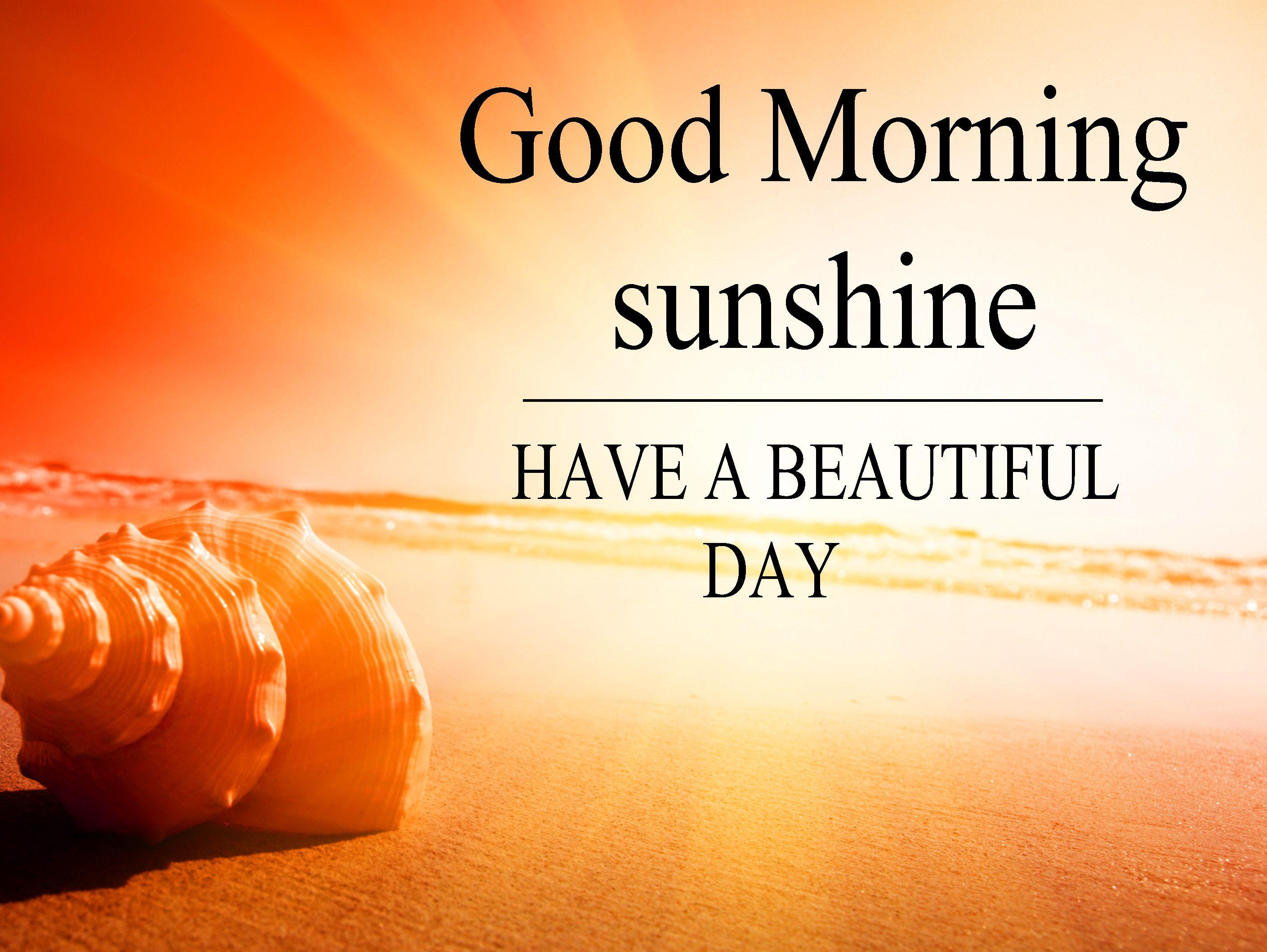 Good Morning My Sunshine Gif 51 - dxbw6cp