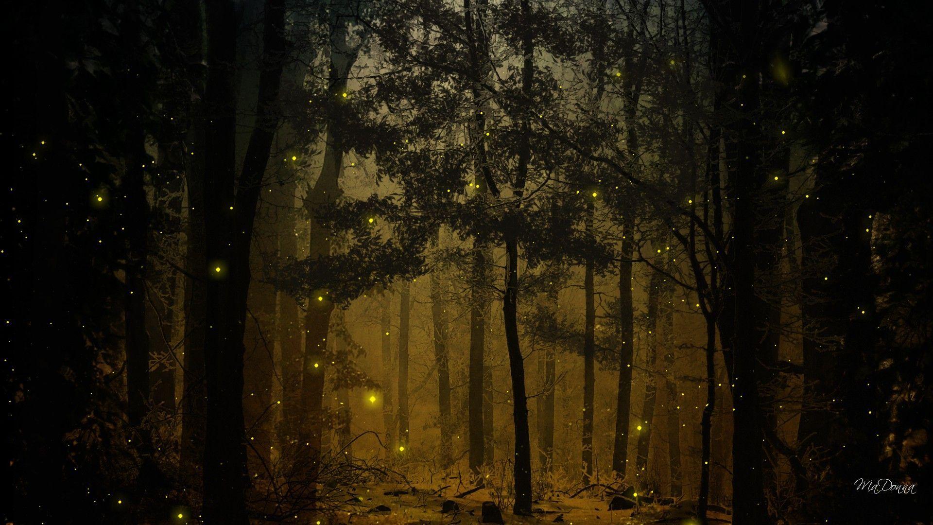 1920x1080 Firefly Wallpaper 1920x1080