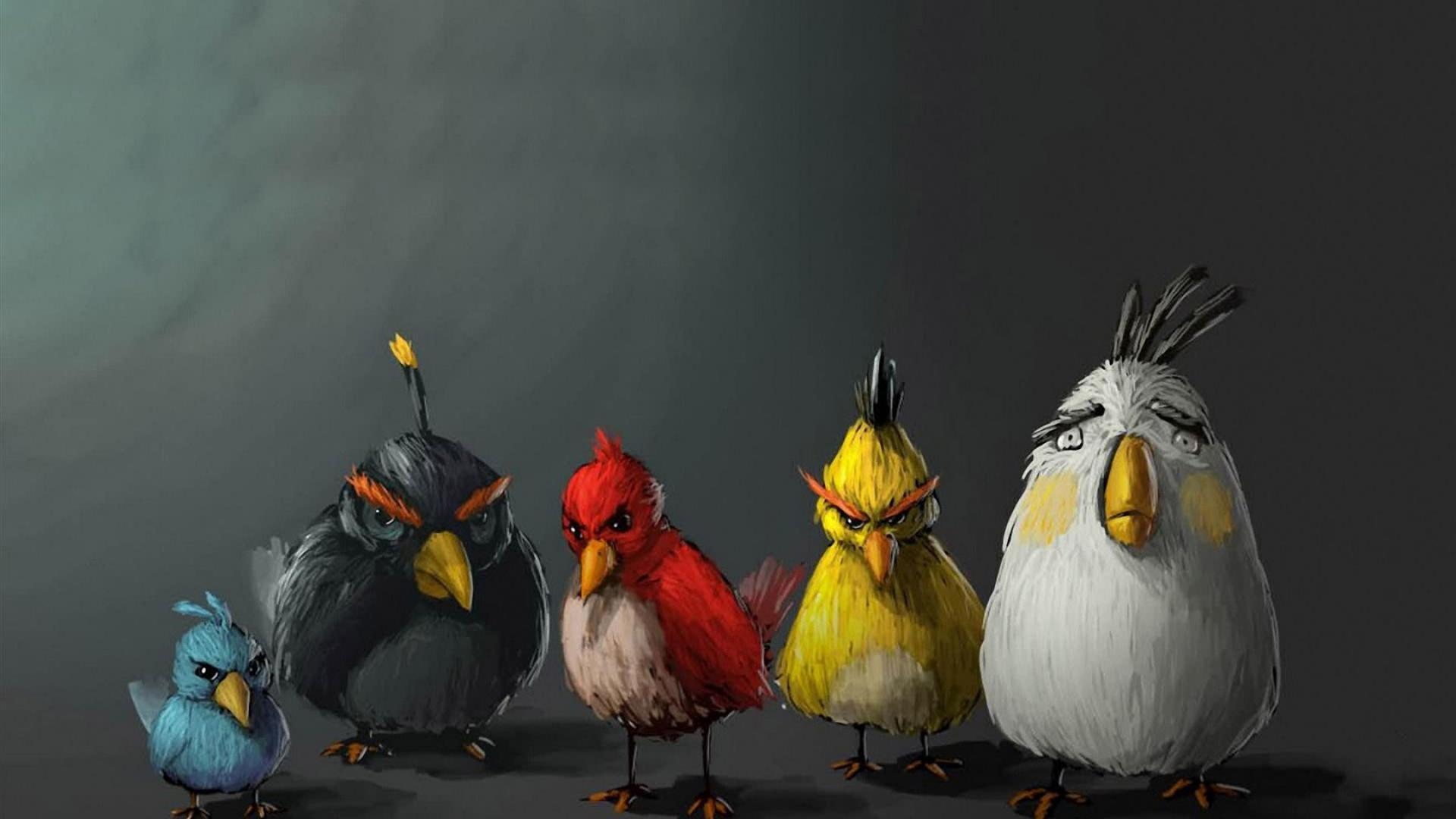 1920x1080 Funny Wallpaper 1920x1080
