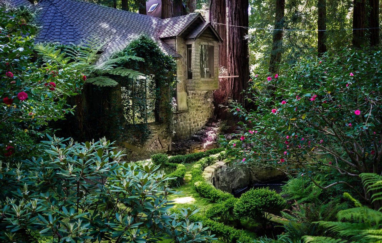 1332x850 Wallpaper trees, Park, CA, house, USA, the bushes, Redwood National Park image for desktop, section природа