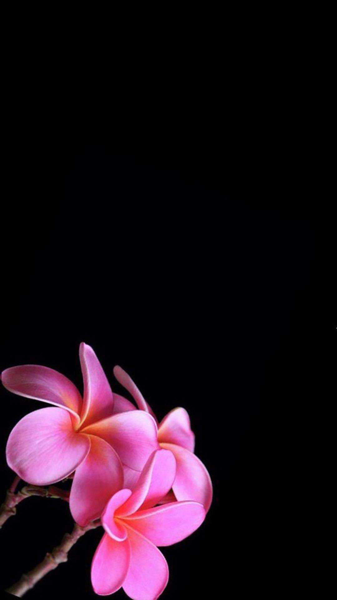 1080x1920 Flower Wallpaper s11 Usewallpaper Note 111 1080X1920 3300000001