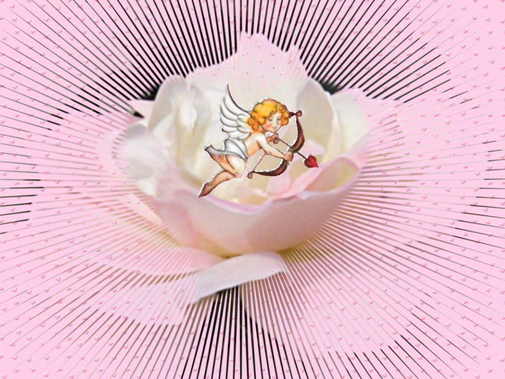 1024x768 Angel Rose Wallpaper. Vintage Rose Wallpaper, Victorian Rose Wallpaper and Rose Wallpaper