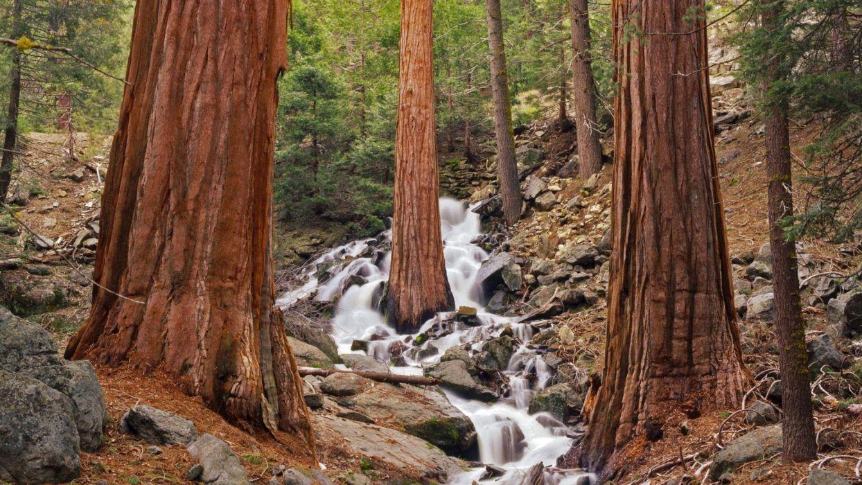1244x700 California waterfalls National Park wallpaperx1080