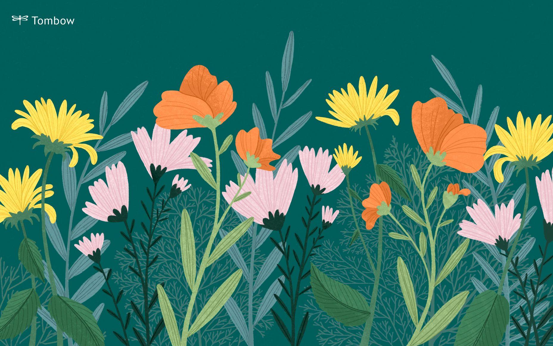1856x1162 Tombow Free Wallpaper Downloads