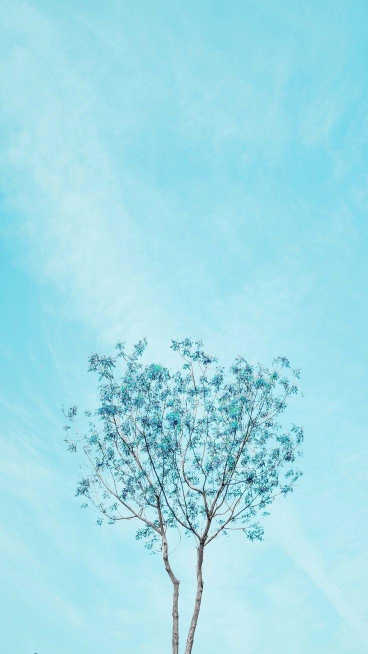 736x1308 Baby Blue Fur Wallpaper