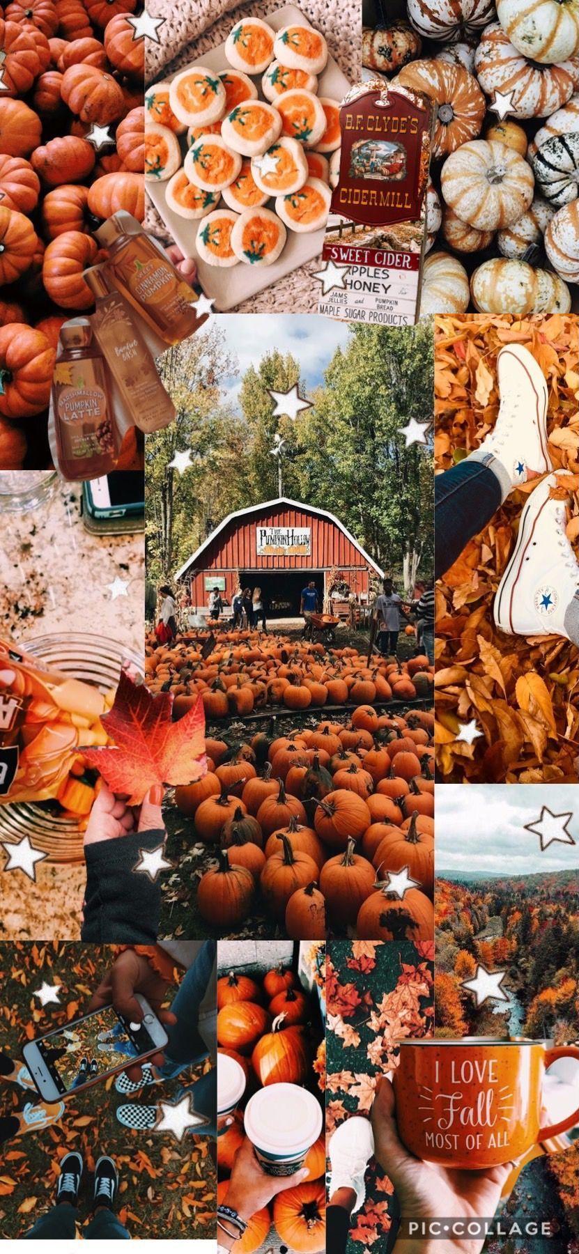 Autumn Aesthetic Collage Wallpapers  Wallpaper Cave