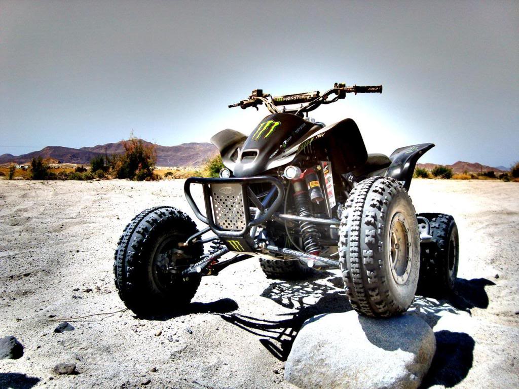 1024x768 Quads Wallpaper