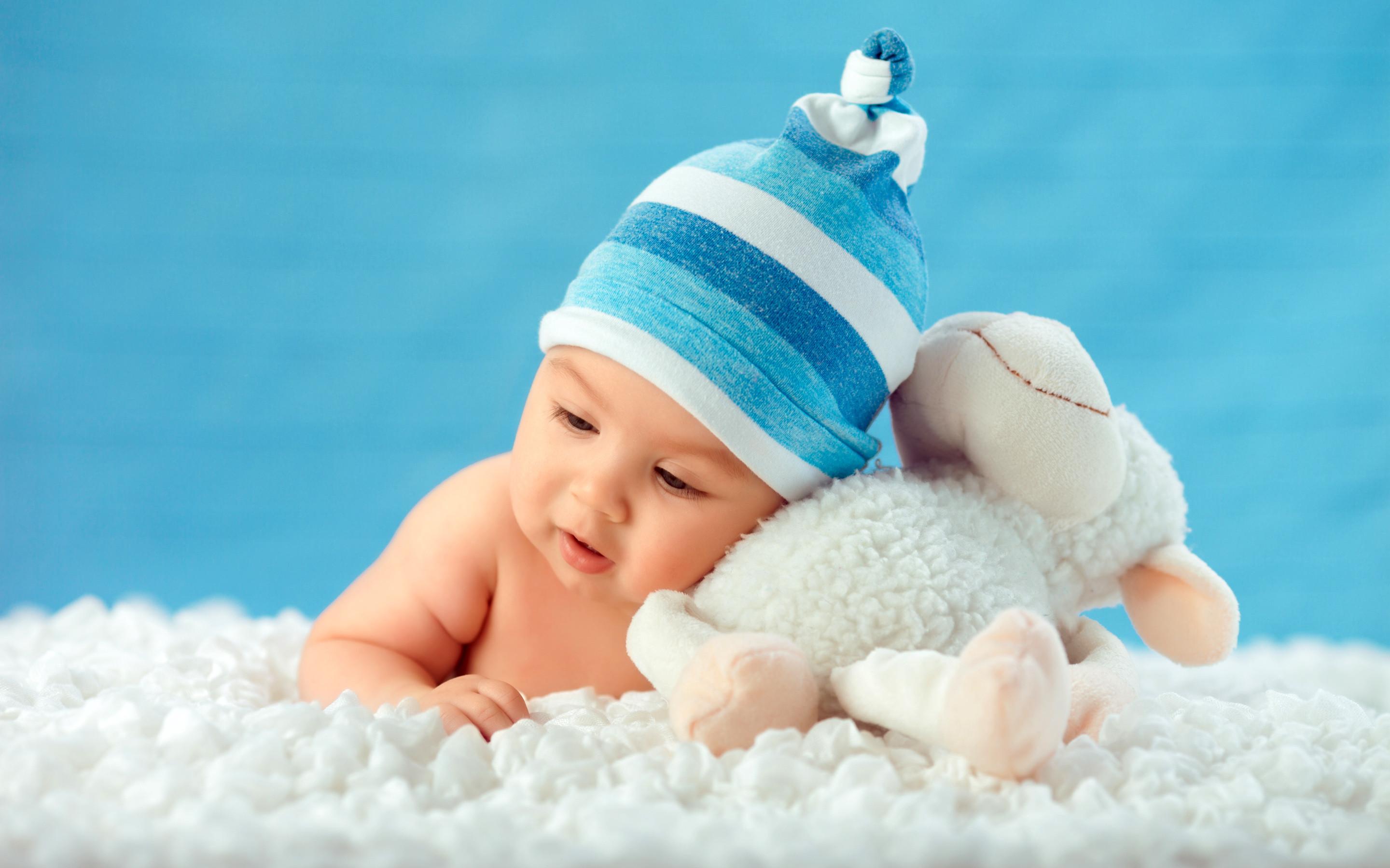 2880x1800 Cute Baby Sheep Toy Wallpaper and Free