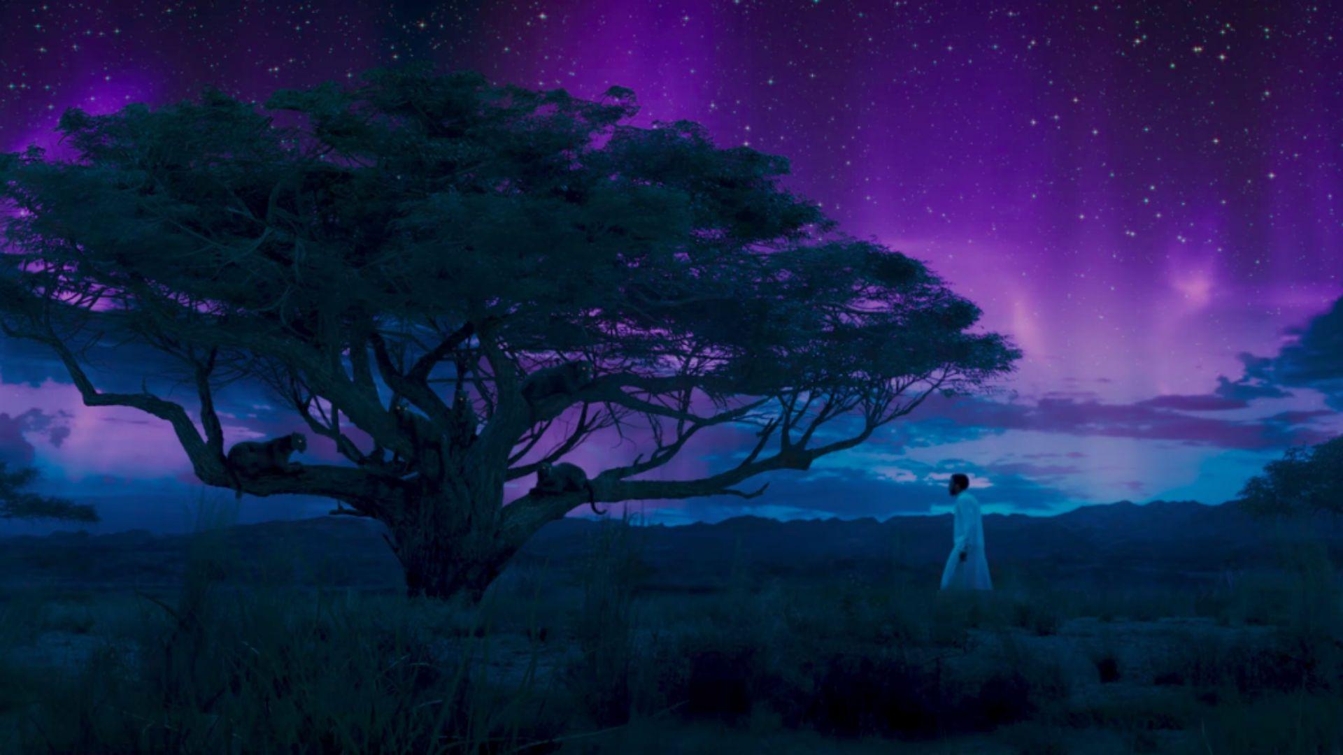 1920x1080 Newest Black Panther trailer shows its claws