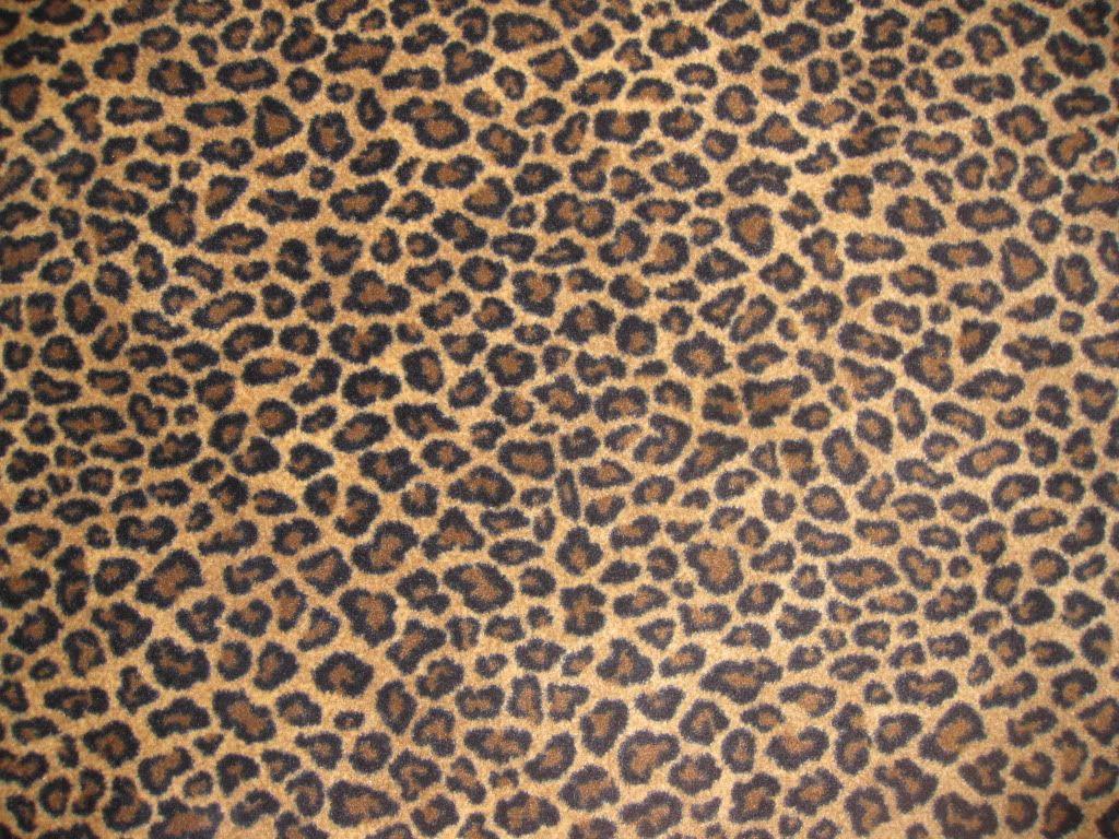 1024x768 Free download Leopard Print Wallpaper Desktop Background [1024x768] for your Desktop, Mobile & Tablet. Explore Leopard Print Wallpaper for Computer. Leopard Wallpaper, Leopard Wallpaper for Desktop, Leopard Print Background Wallpaper