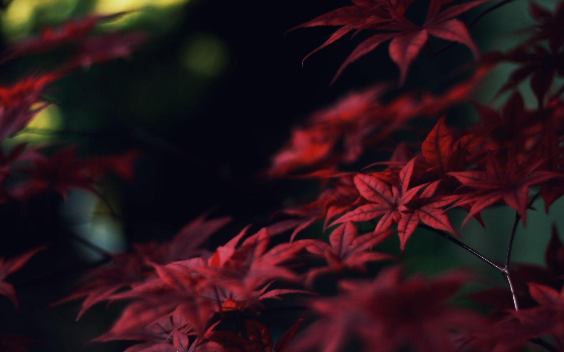 1920x1200 Depth Wallpaper 35655 1920x1200px