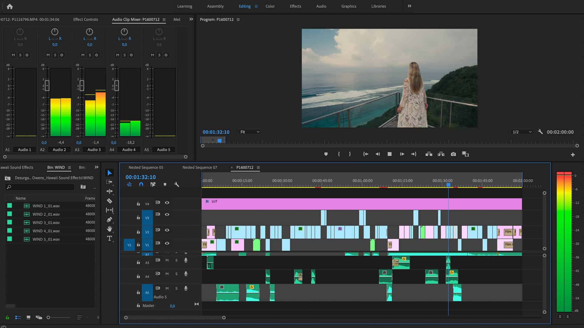 Проекты premiere pro