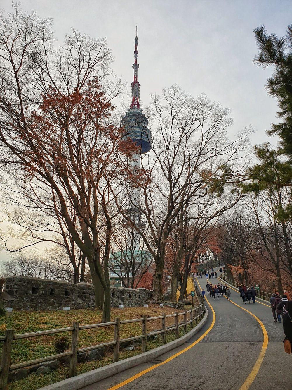 1000x1333 Namsan Seoul Tower Picture. Download Free Image