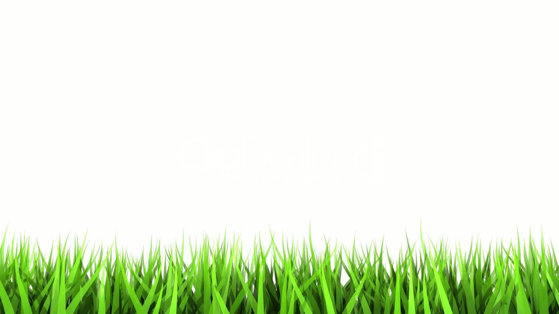 White Green Wallpapers - Top Free White Green Backgrounds - WallpaperAccess