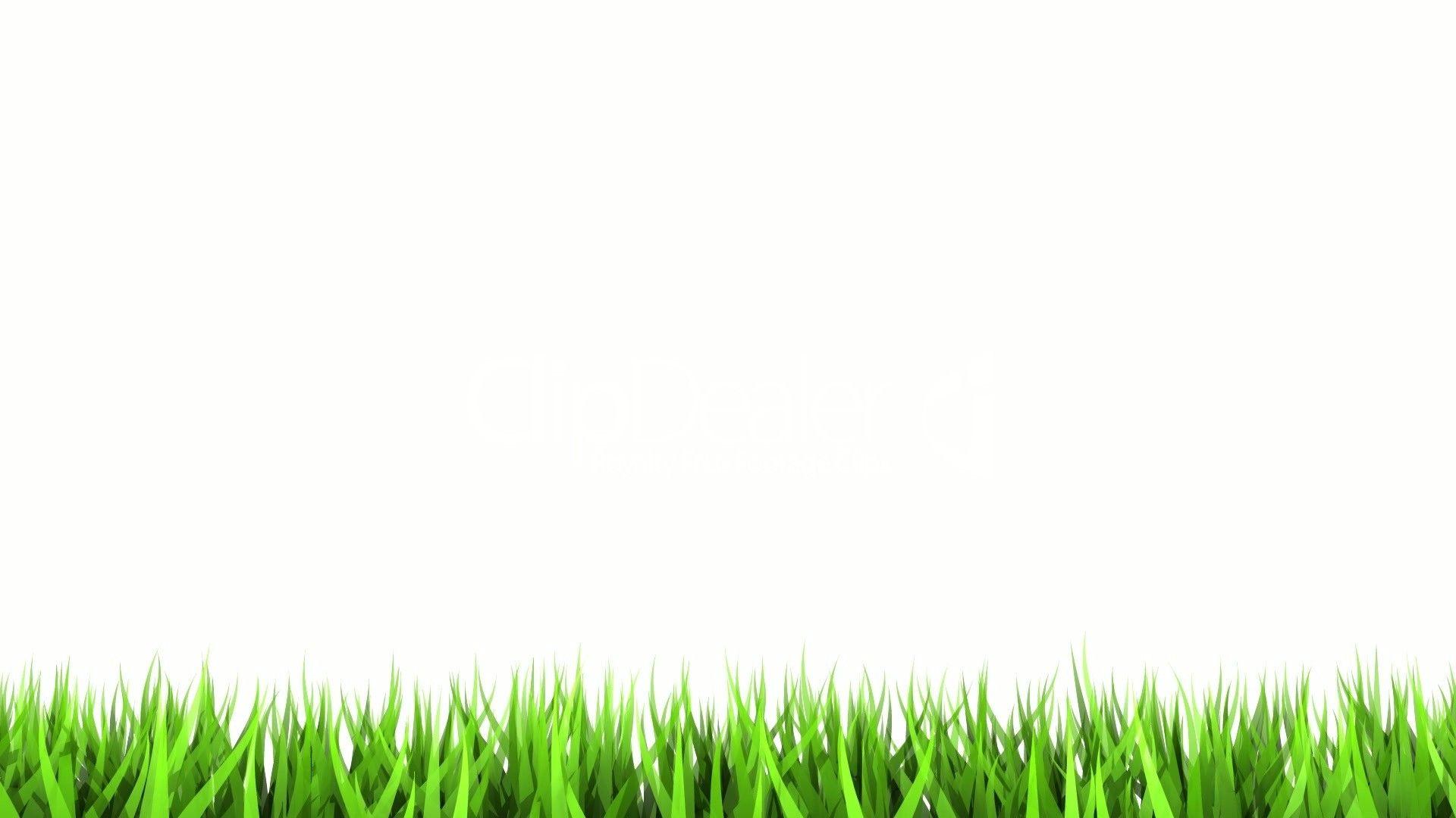 1920x1080 Green and White