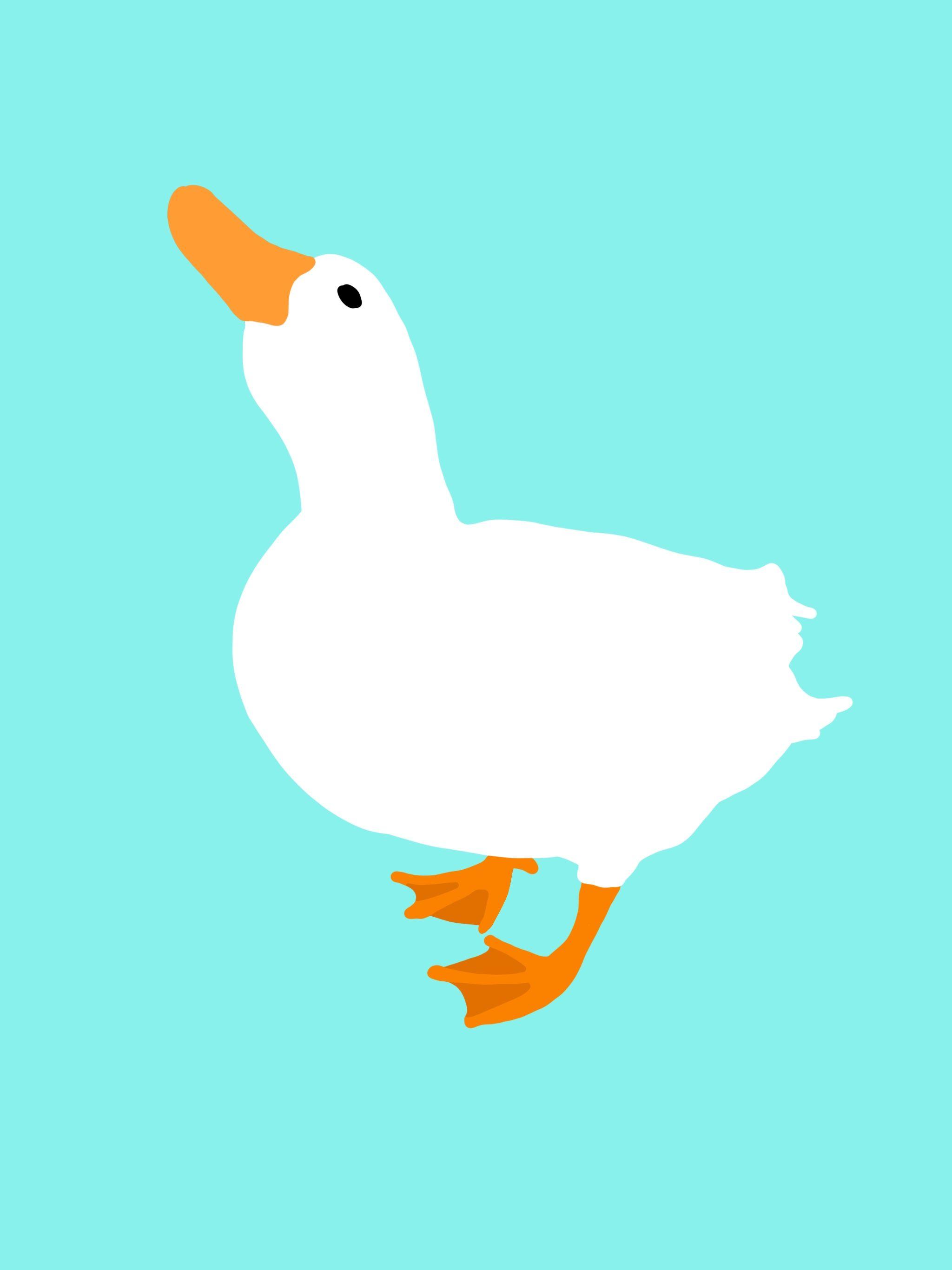 Cute Duck Drawing Wallpapers Top Free Cute Duck Drawing Backgrounds