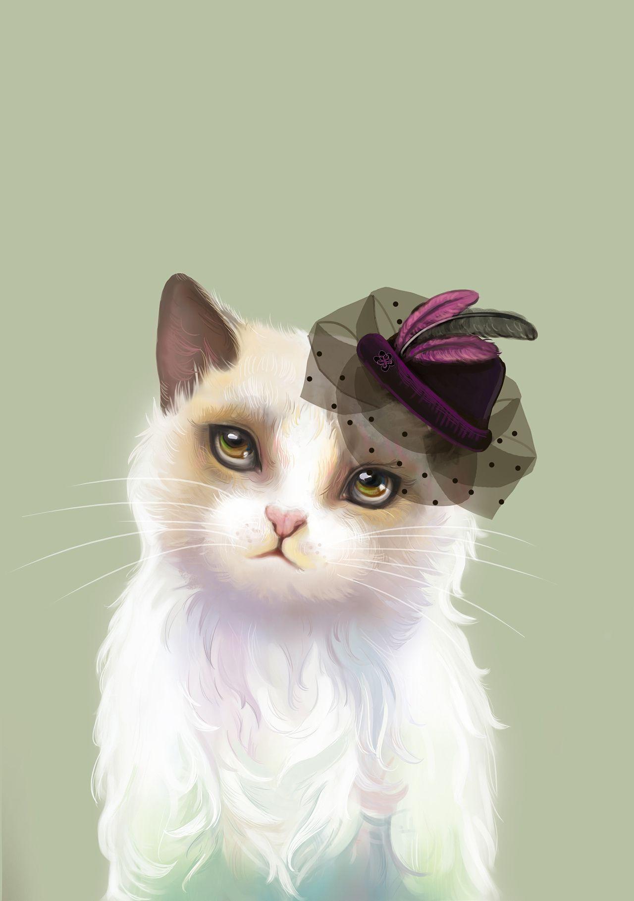 1280x1818 Social cat wallpaper aggressive HD .