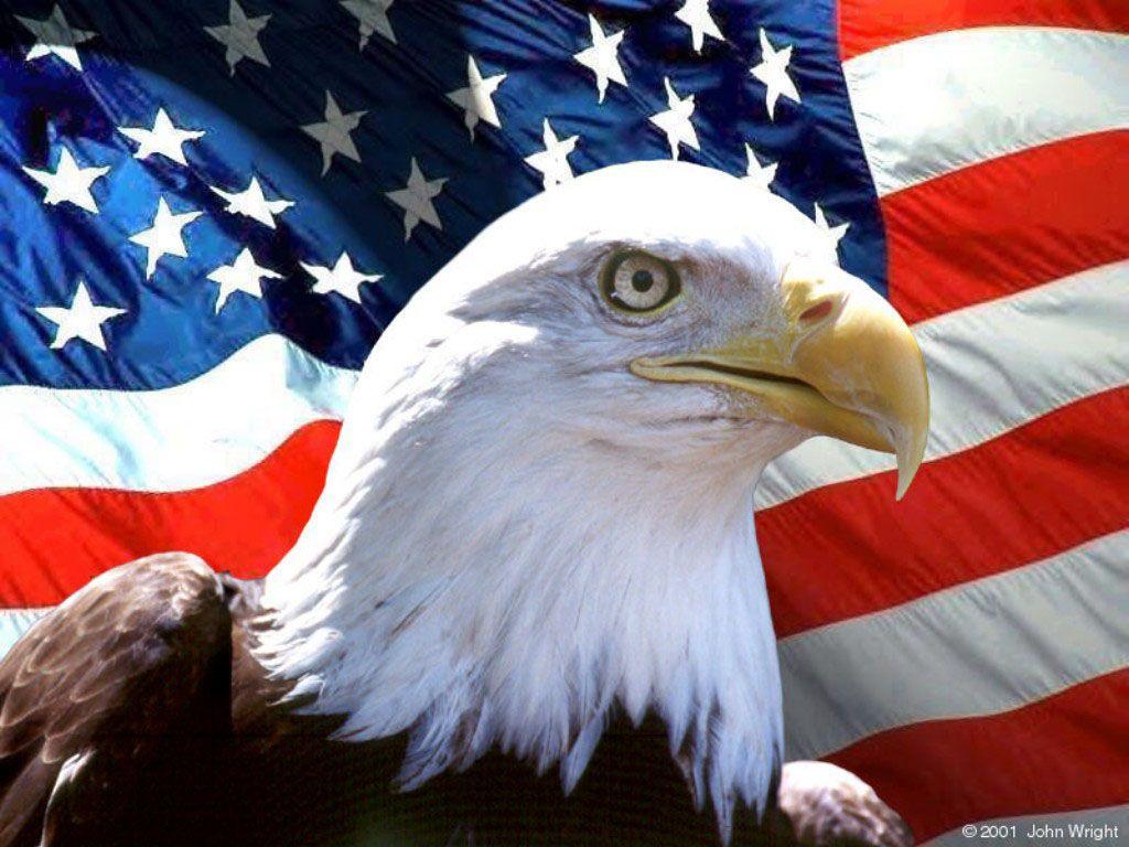 USA Flag Eagle Wallpapers - Top Free USA Flag Eagle Backgrounds ...