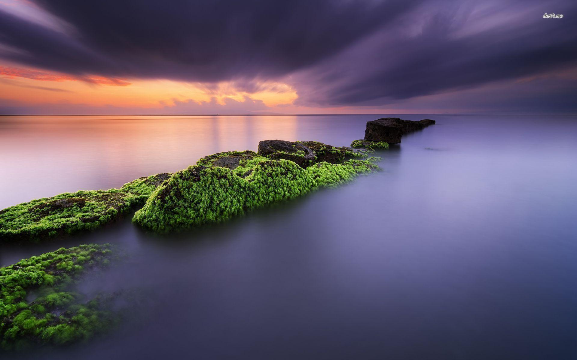 1920x1200 Mossy rocks in Matahari beach, Bali wallpaper wallpaper