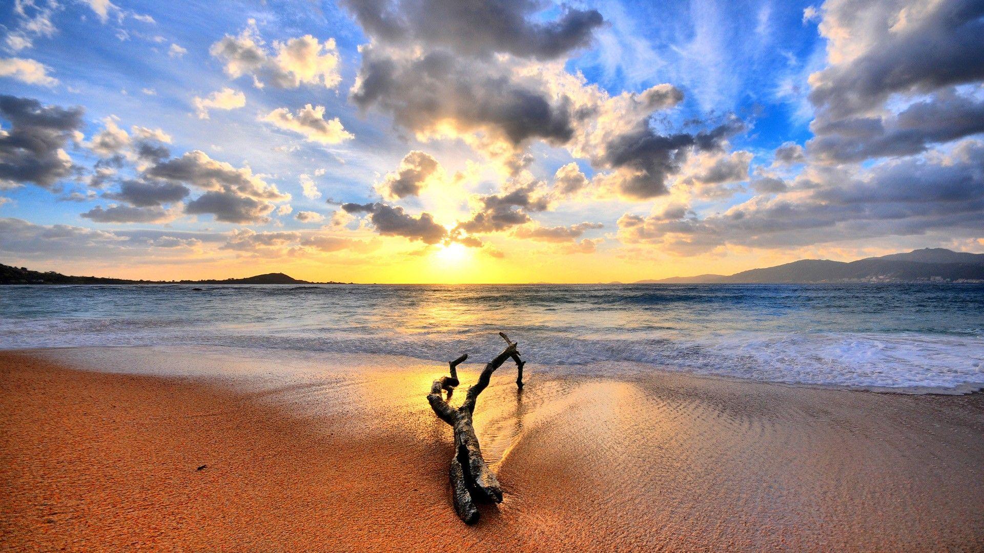 1920x1080 Geographic, national, winter, penguin, game, wallpaper, beach, dell, members, games, violet, albums, animal, sunset