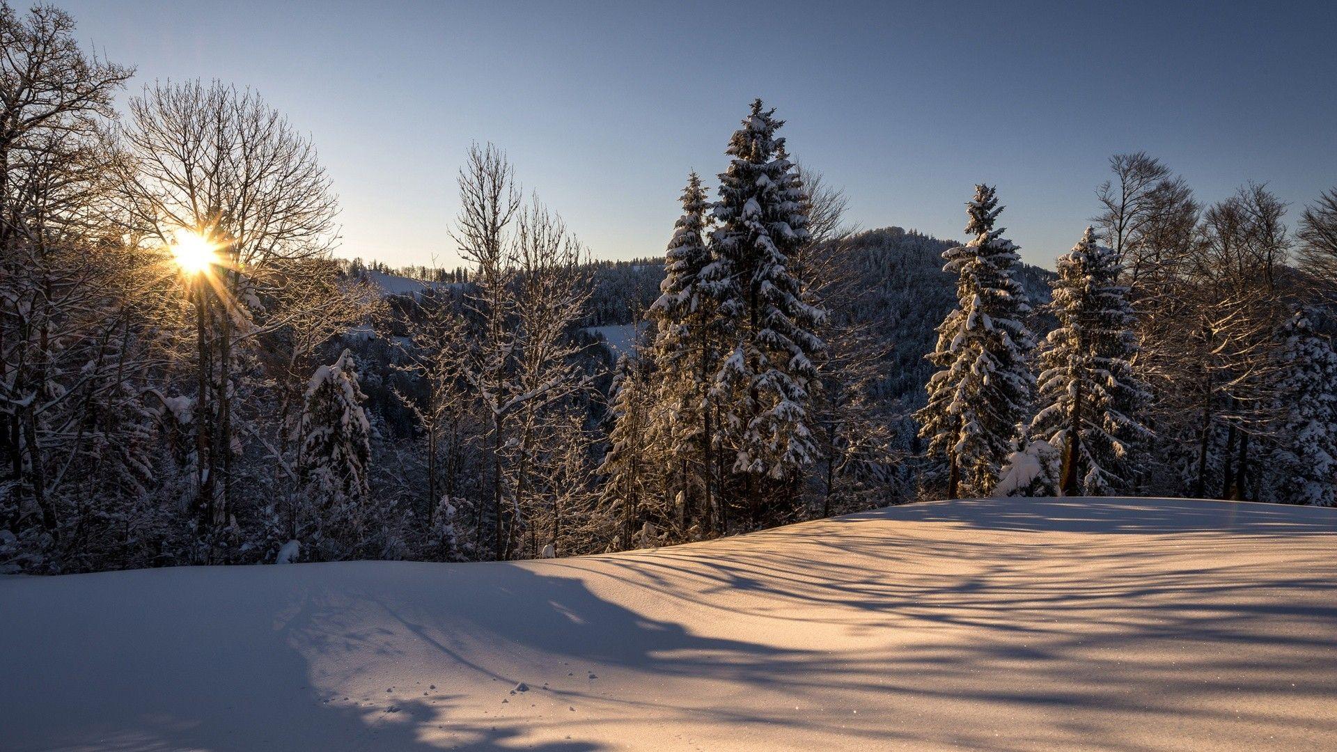 1920x1080 landscapes, nature, winter, snow, Switzerland, natural scenery, Morning Sun, forest wallpaper