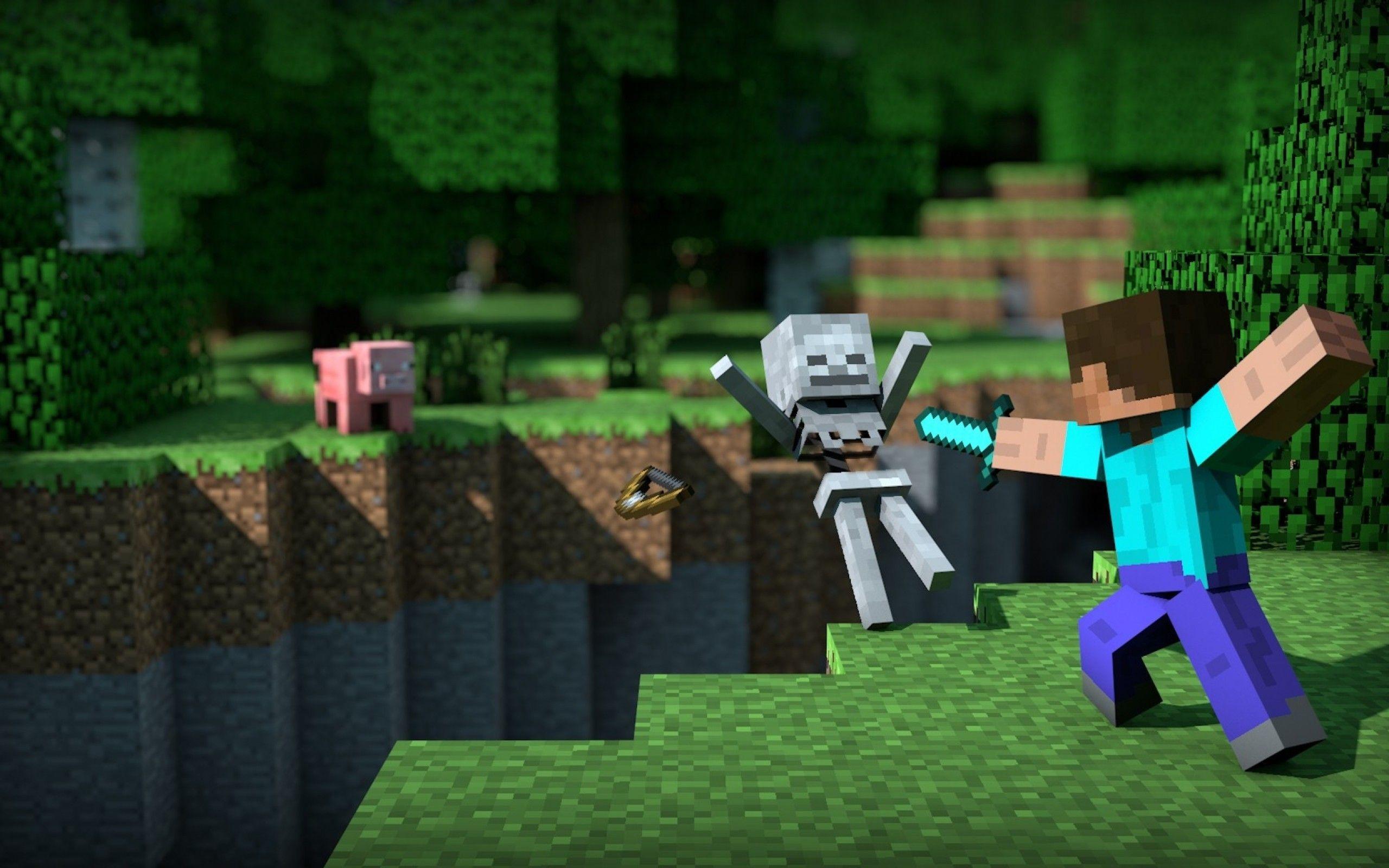 2560x1600 Minecraft Wallpaper HD