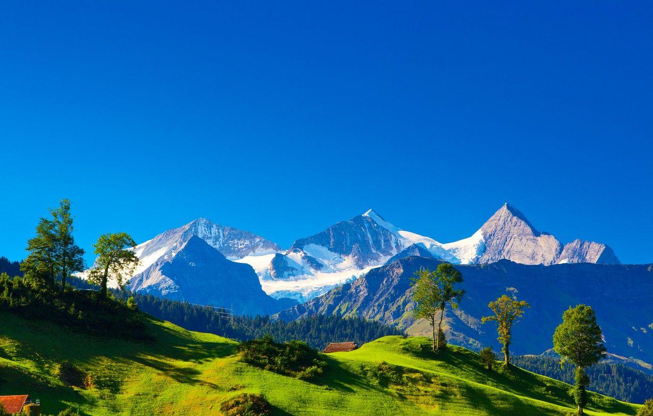 1332x850 Wallpaper greens, grass, trees, landscape, mountains, nature, hills, Switzerland, Alps, houses, Switzerland, Alpes, Alps image for desktop, section пейзажи