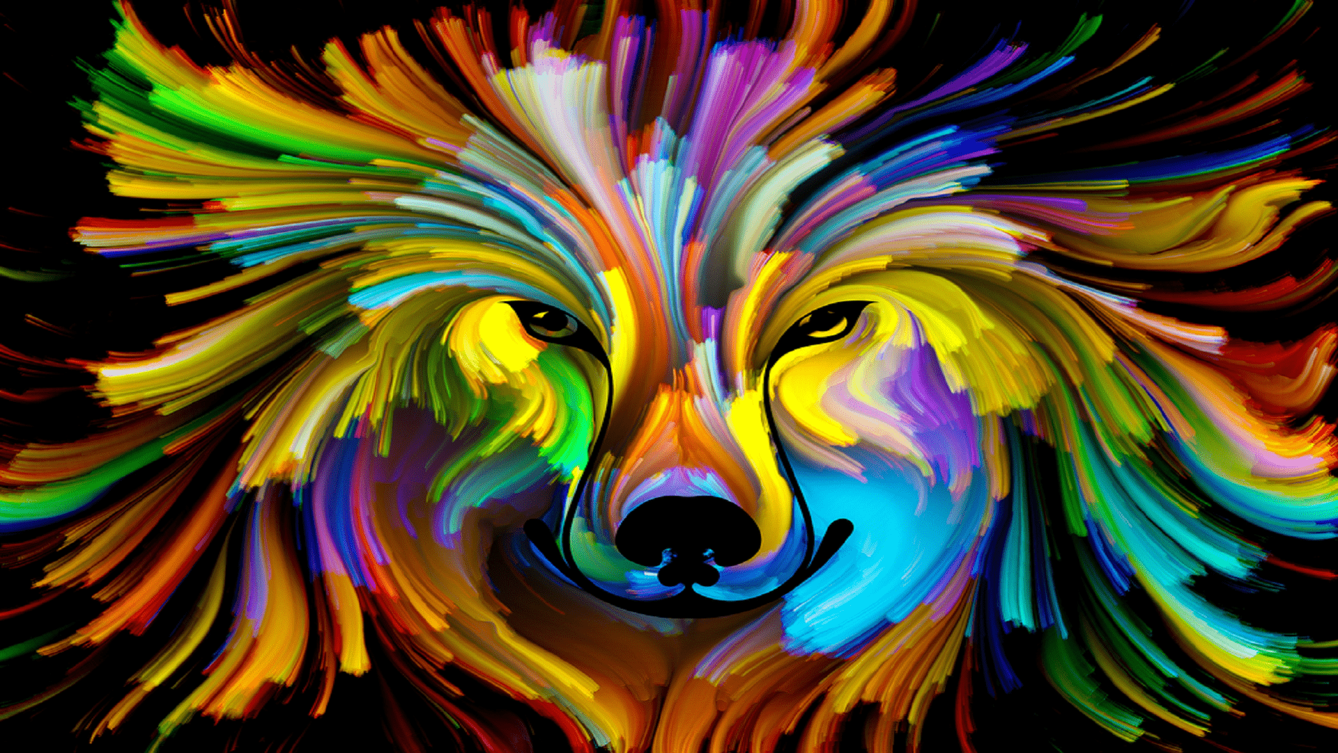 Colorful Dog Wallpapers - Top Free Colorful Dog Backgrounds -  WallpaperAccess