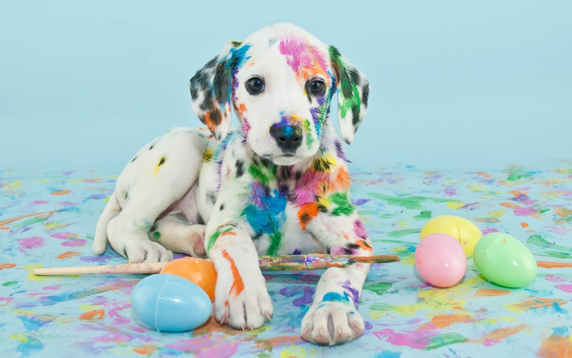 1920x1200 Download wallpaper little Dalmatian, white puppy, paint, cute animals, artist, pets, dogs, Dalmatian for desktop with resolution 1920x1200. High Quality HD picture wallpaper