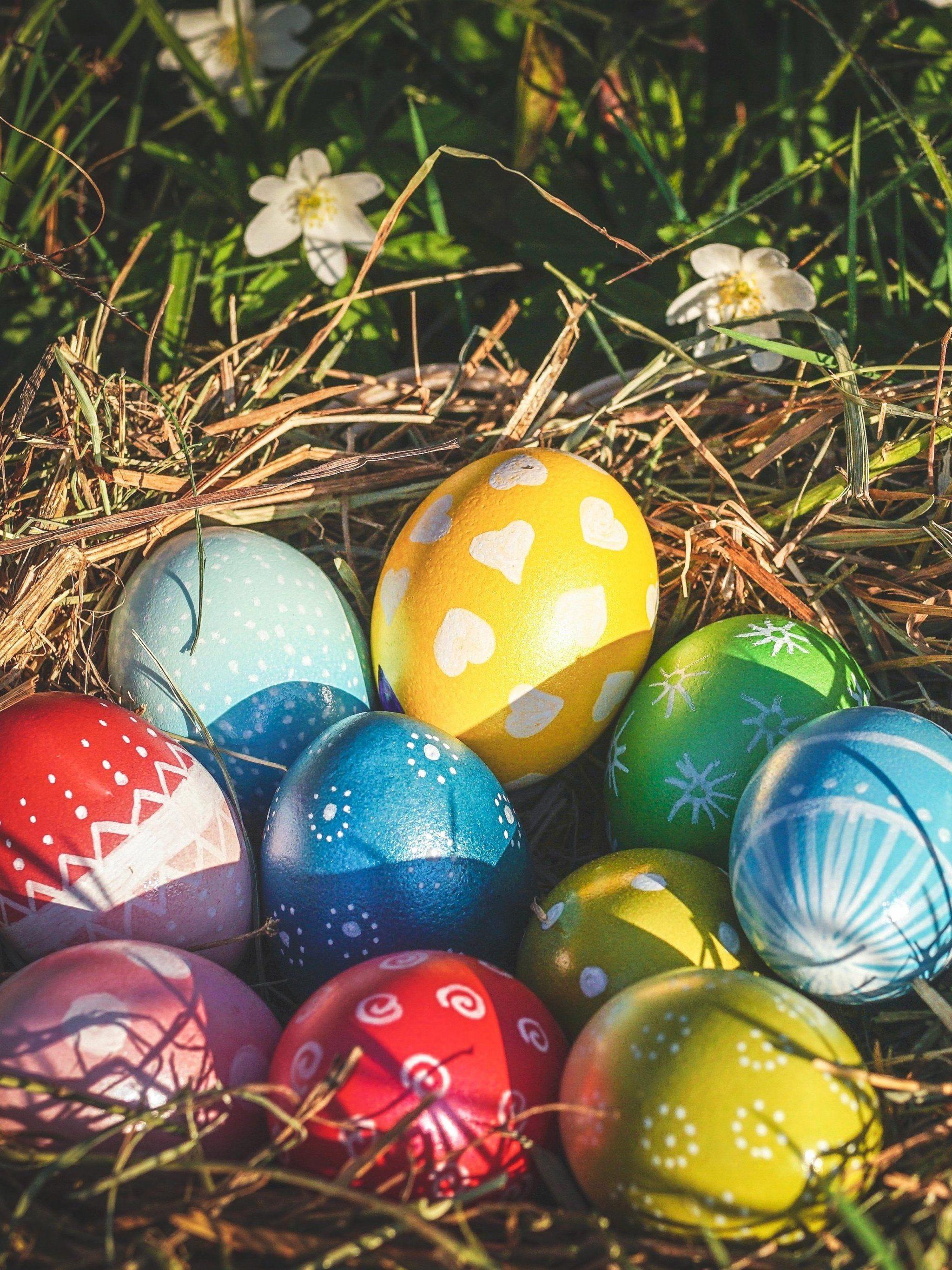 2048x2732 Cute Easter Eggs Wallpaper, Android & Desktop Background