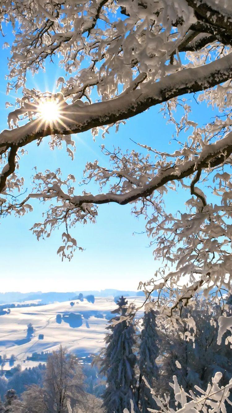 750x1334 Wallpaper Switzerland, winter nature, thick snow, trees, sun rays 2880x1800 HD Picture, Image
