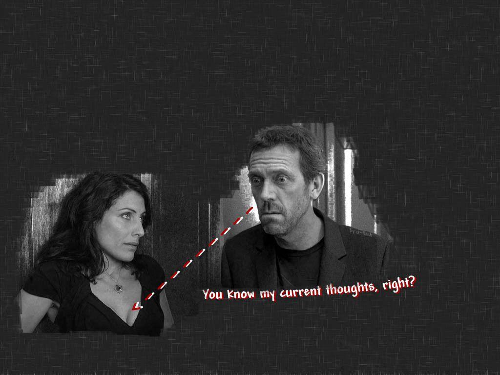 1024x768 House and Cuddy. house wallpaper