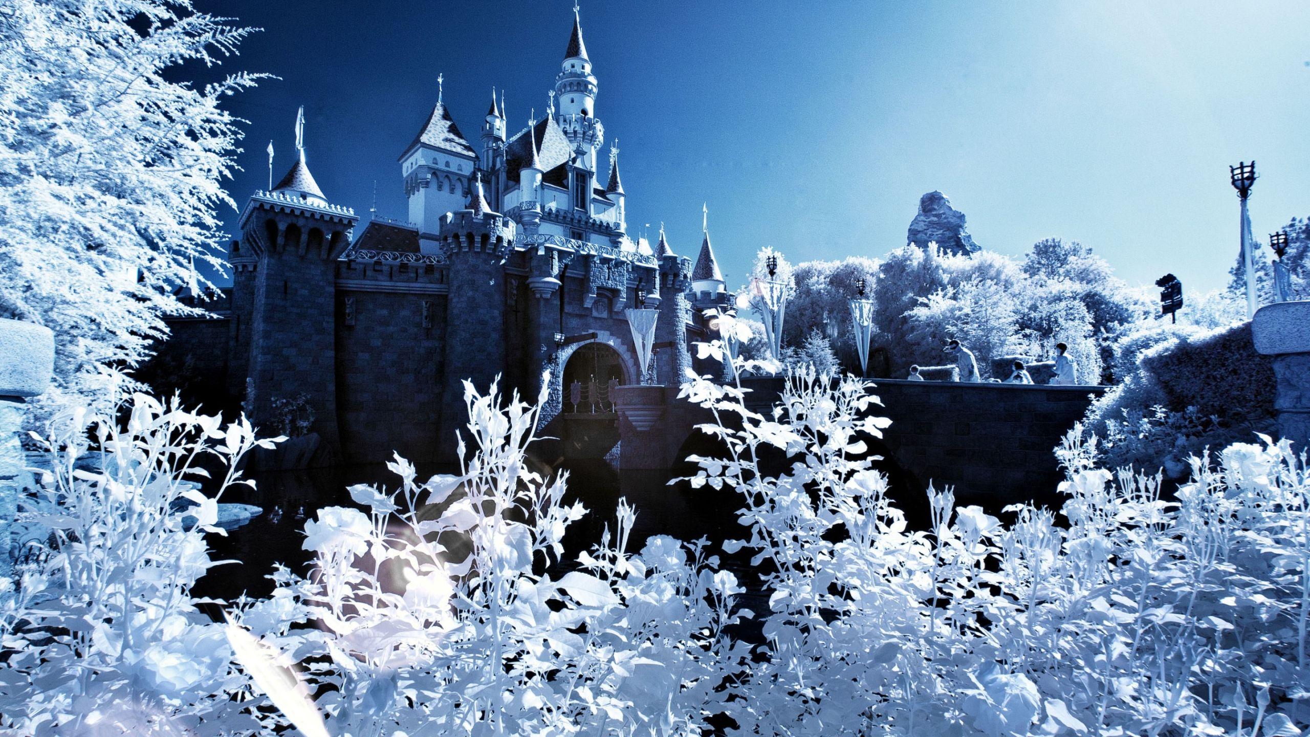 2560x1440 Sleeping Beauty Castle Winter MacBook Air Wallpaper Download