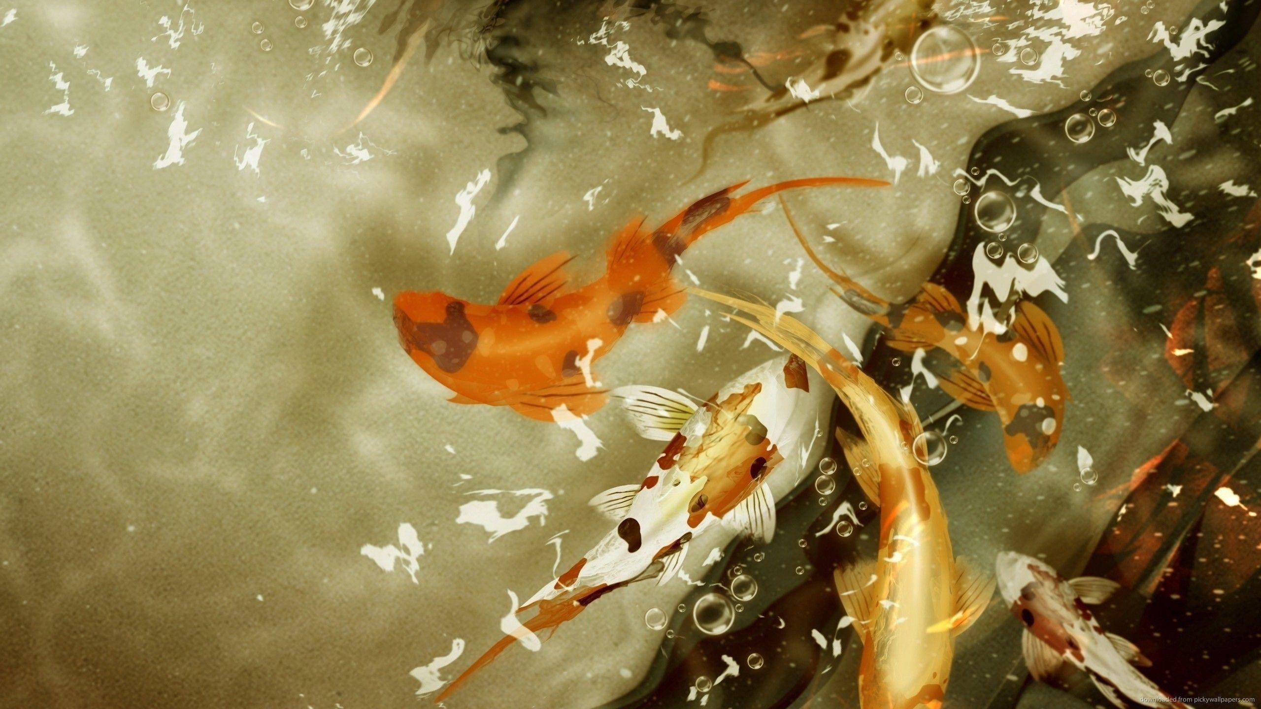 2560x1440 Fish Pond Wallpaper 1600×900 Koi Wallpaper 38 Wallpaper