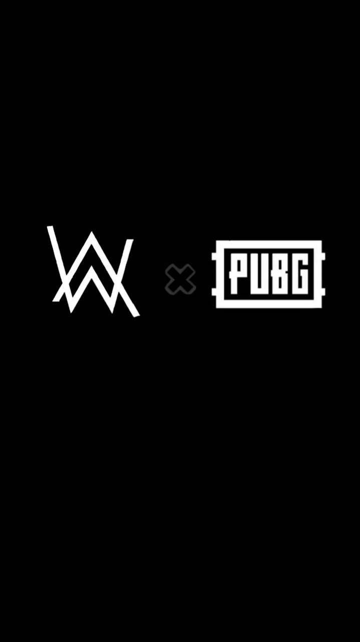 719x1280 Alan walker and Pubg wallpaper