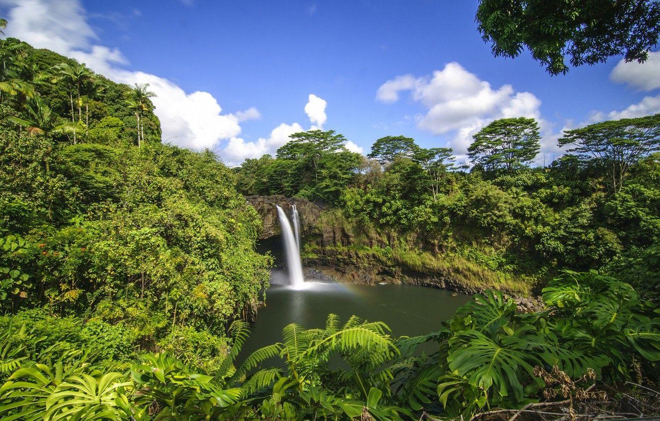 1332x850 Wallpaper forest, tropics, waterfall, Hawaii, Hawaii, Hilo, Rainbow Falls image for desktop, section пейзажи