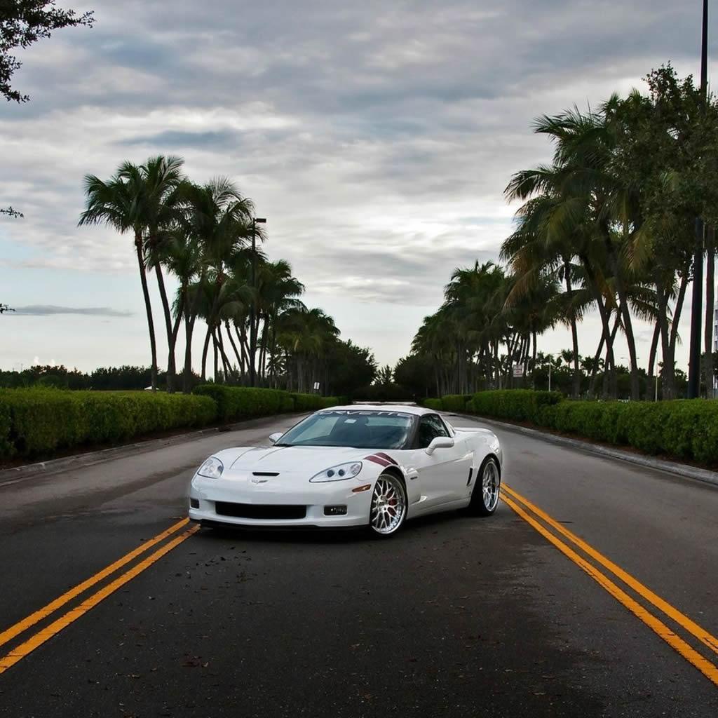 1024x1024 Chevrolet Corvette z06 iPad Wallpaper Free Download
