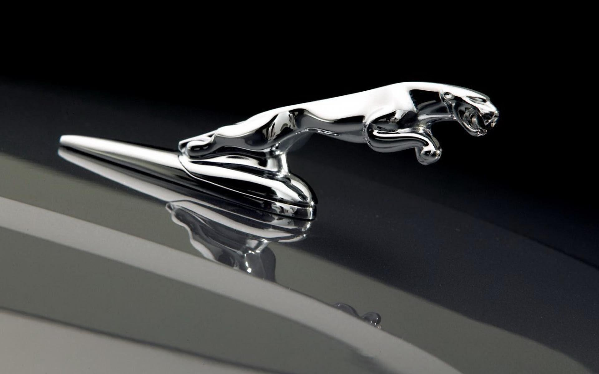 1920x1200 Amazing Jaguar Logo Wallpaper 00341