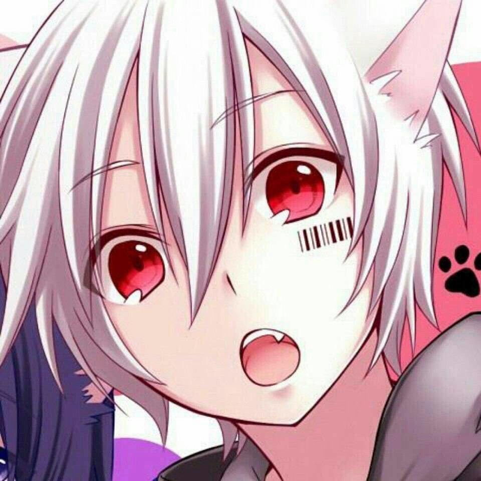 Cute Anime Cat Boy Wallpapers  Wallpaper Cave