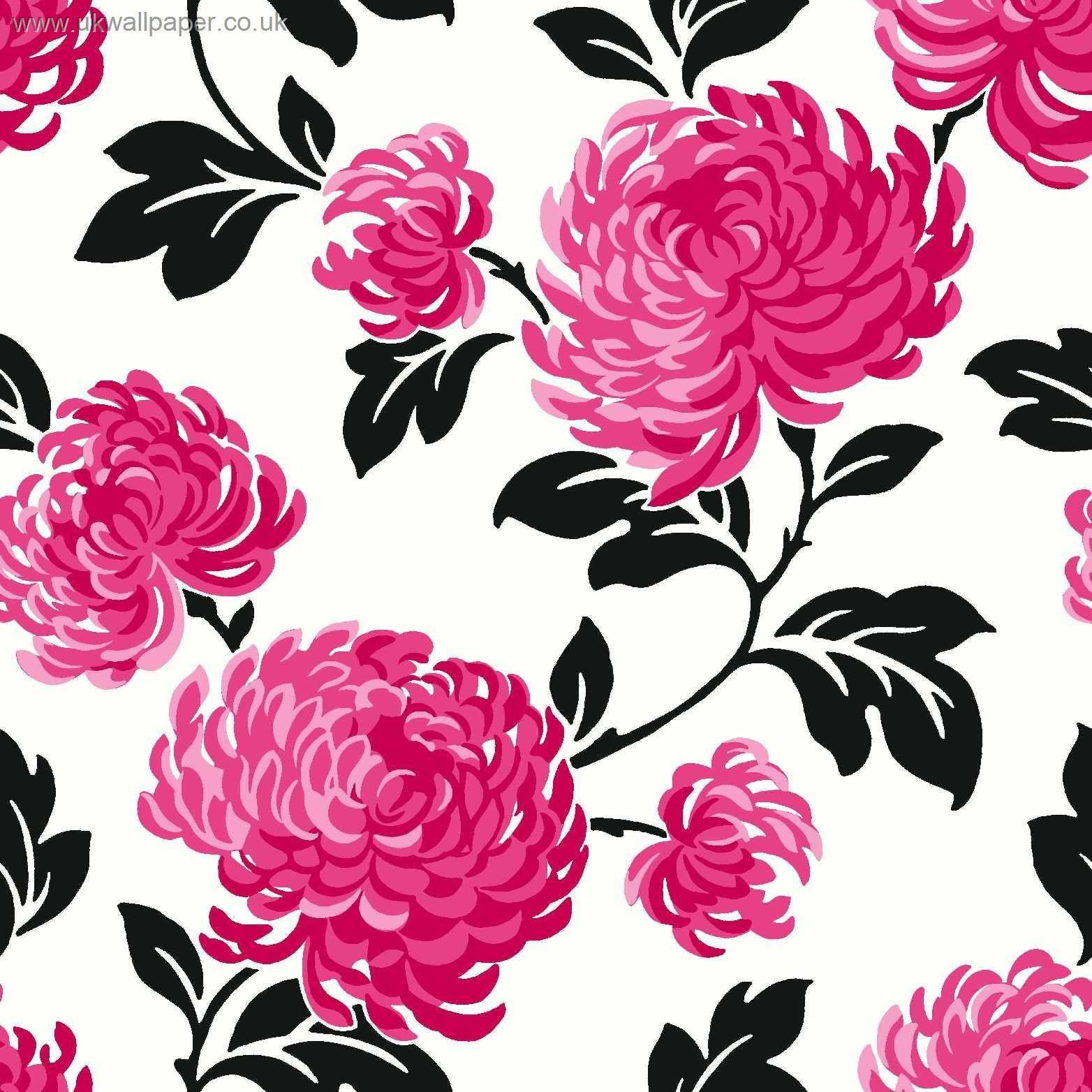 1564x1564 Pink Black and White Wallpaper