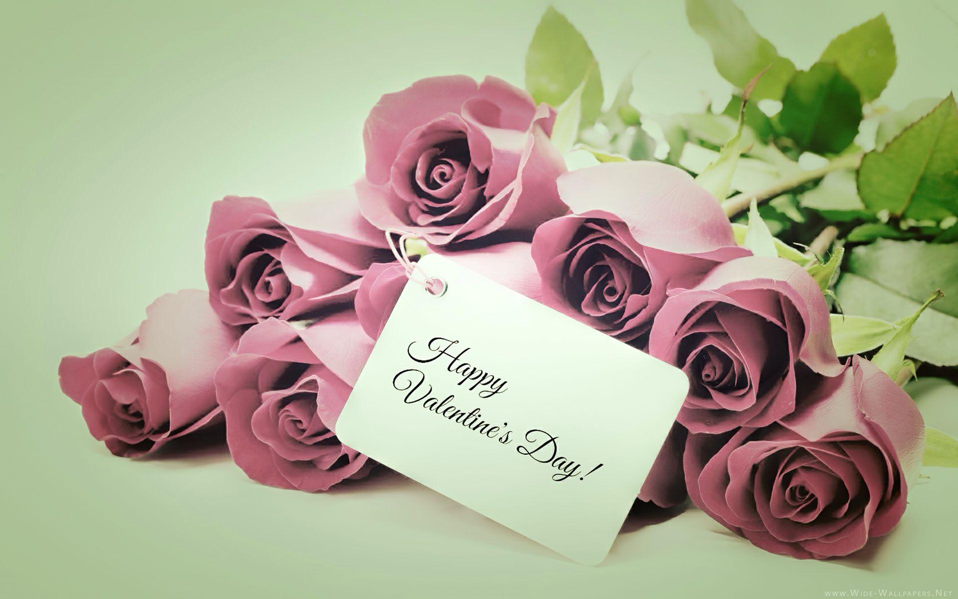 1920x1200 Happy Valentine's Day, Purple Roses widescreen wallpaper. Wide