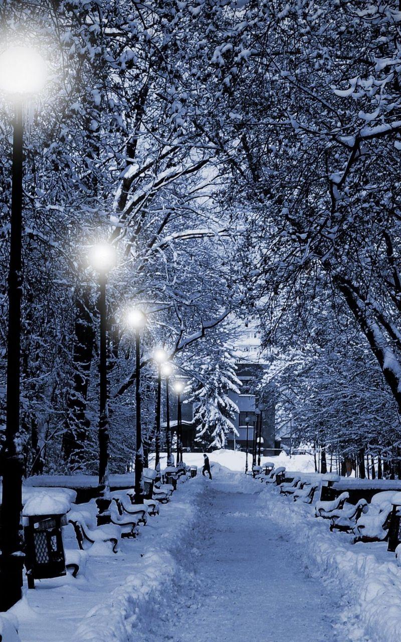 800x1280 Free download Go back to Christmas Wallpaper Next Image [1067x1600] for your Desktop, Mobile & Tablet. Explore Free Seasonal Wallpaper. Free Seasonal Wallpaper