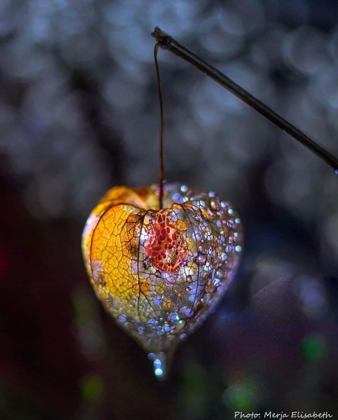 1080x1342 Present #creativity #art. Miniature photography, Beautiful nature wallpaper, Cool picture for wallpaper