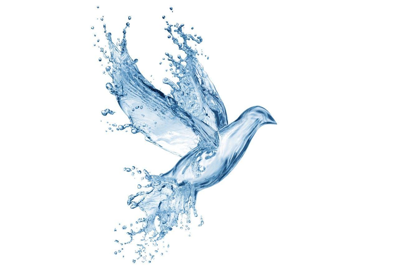 1332x850 Wallpaper water, drops, squirt, creative, figure, dove, splash, art, Water, art, splash, drops, dove, pigeon, drawing, creativity image for desktop, section минимализм