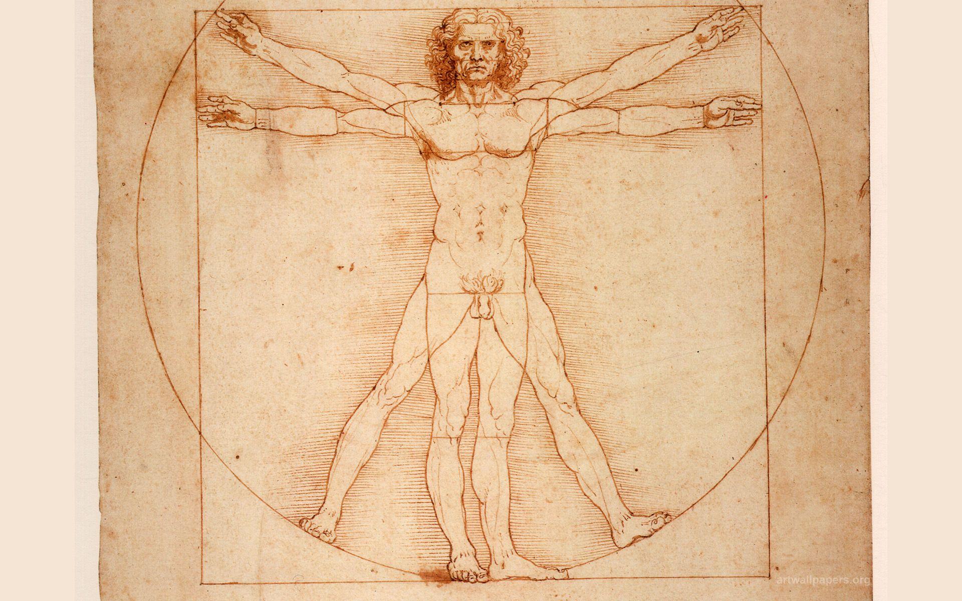 Leonardo Da Vinci Pin Vitruvian Man Da Vinci Vitruvian Man Leonardo Da Vinci Kulturaupice