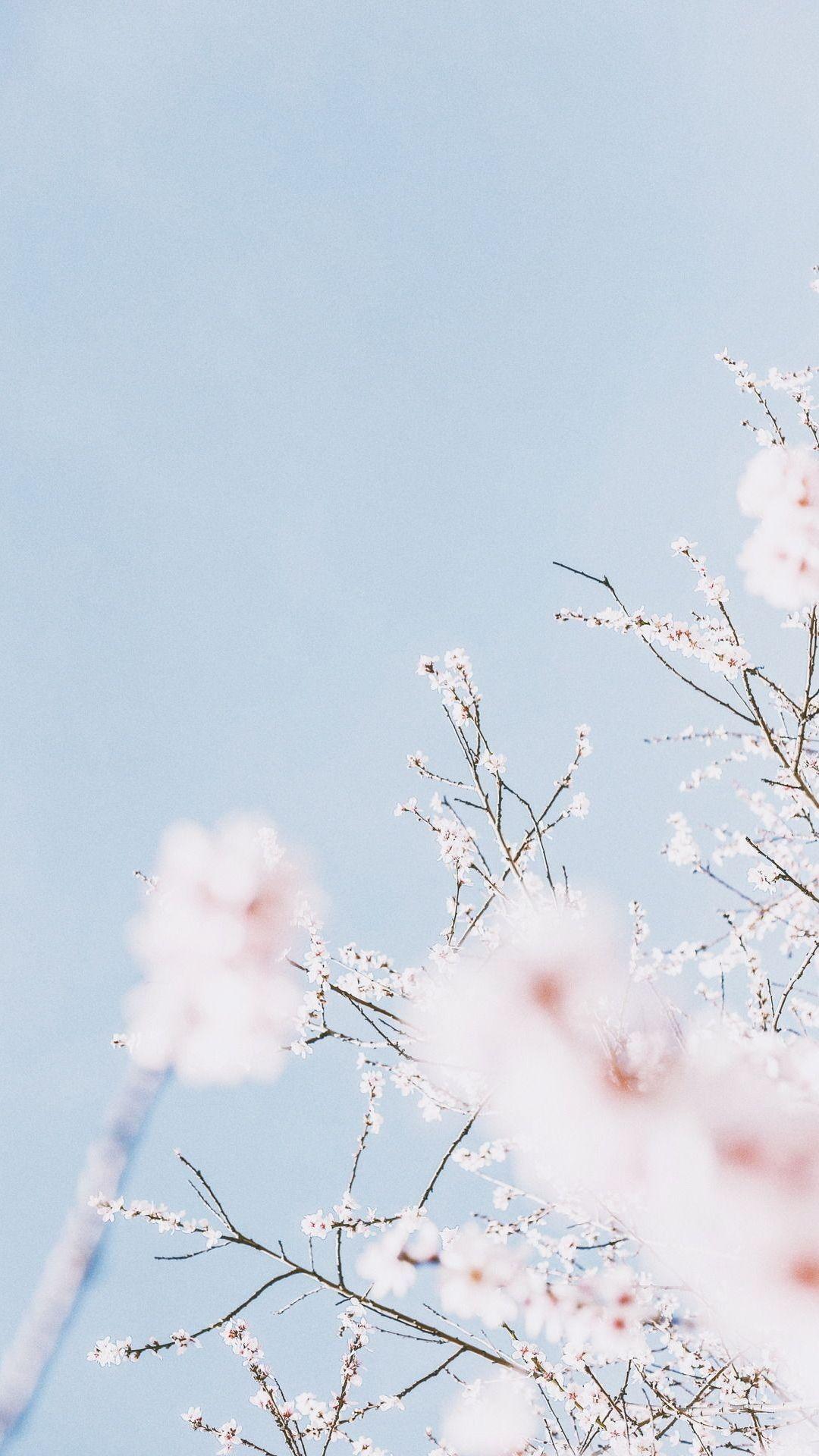 1080x1920 Free download Pastel Blue Aesthetic Lockscreen 1376000 HD Wallpaper Download [1082x1920] for your Desktop, Mobile & Tablet. Explore Pastel Aesthetic Wallpaper. Pastel Aesthetic Wallpaper, Pastel Background, Pastel Wallpaper