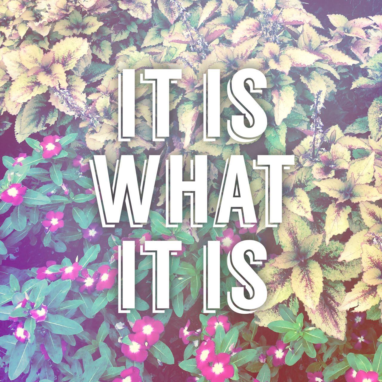 It Is What It Is Wallpapers - Top Free It Is What It Is Backgrounds