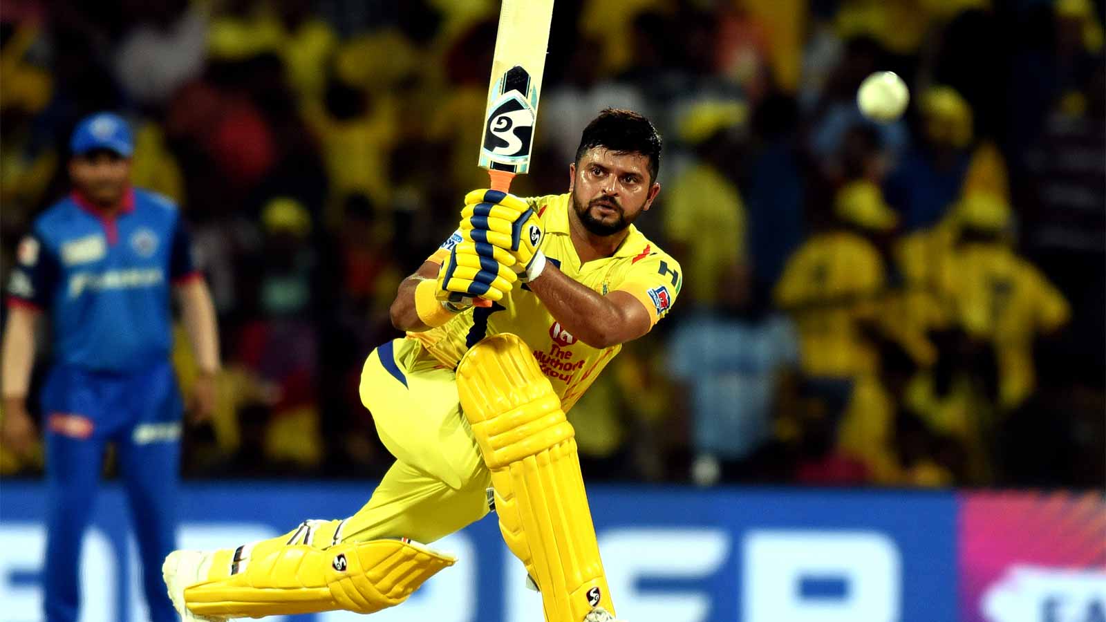 Raina Csk Wallpapers - Top Free Raina Csk Backgrounds - WallpaperAccess